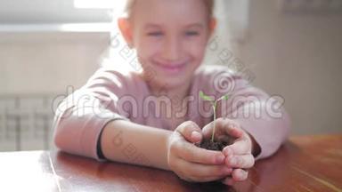 女孩手里拿着年轻的绿色植物。 生长，<strong>呵护</strong>，保护<strong>地球</strong>，生态的理念和标志..